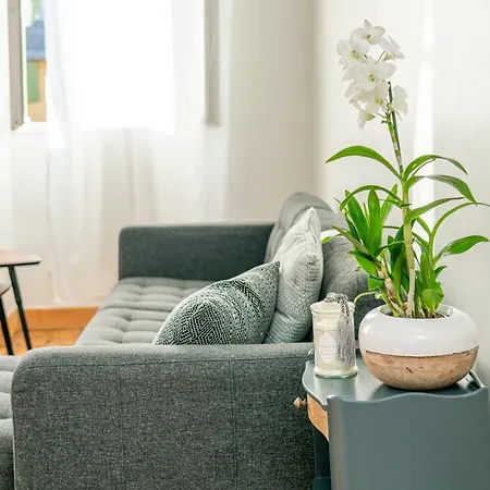 Le Sully - Beaucoup De Charme A 100m Du Chateau Apartment *