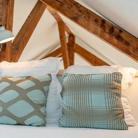 Le Sully - Beaucoup De Charme A 100m Du Chateau *